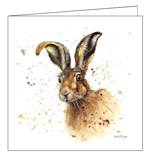 Animal Cards blank cards, animal greetings cards, Nickery Nook