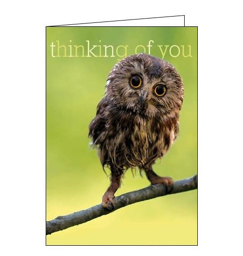 Thinking of You cards - A Caring Message cards, Sending a Hug cards