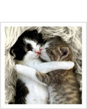 Snuggle Up - Cattitude greeting card