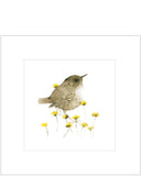 Watercolour Wren by Catherina Turks - Blank greetings card