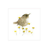 Watercolour Wren by Catherina Turks - Blank greetings card