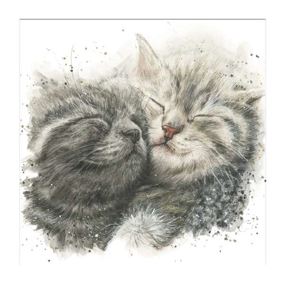 This blank card features Bree's illustration of Cinders & Ella, two grey cats asleep together.