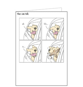 Featuring artwork from Jimmy Craig's wonderful, whimsical web comic "They Can Talk", where we get to hear what our pets are really thinking. This funny blank card shows a wonderfully happy dog leaning out of a car window... until hit in the face by a pigeon.