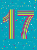 17th birthday card
