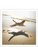 Chase, the joy seeker - Loose Leashes greetings card