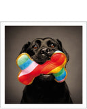 Rainbow bone - Loose Leashes greetings card