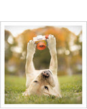 Cheese! - Loose Leashes greetings card