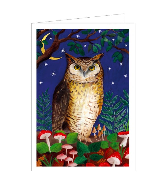 This beautiful blank greetings card is decorated with an artwork by Bex Parkin, showing a woodland owl perched on a tree branch, surrounded by mushrooms, toadstools and foliage. In the background behind the owl is the night's sky filled with stars and a crescent moon. Bold colour and strong design make this a stunning card for any occasion or message.