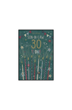 Son-in-Law on your 30th birthday card