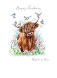 Highland cow - birthday card