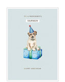 Nephew - birthday card
