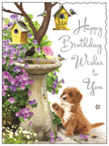 The birdbath - Jonny Javelin Birthday card