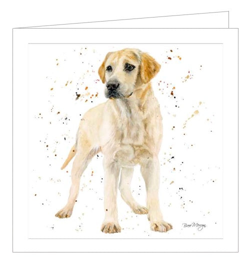 This blank card features Bree's illustration of a wonderful pale yellow labrador, dog Lola.