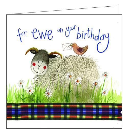Alex Clark for her For Ewe on your Birthday sheep Happy Birthday card Nickery Nook