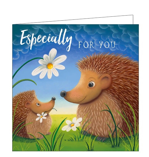 This lovely greetings card features detail from an original pastel drawing by Lucy Pittaway showing a hedgehog and hoglet in a field full of daisies. The text on the front of the card reads 