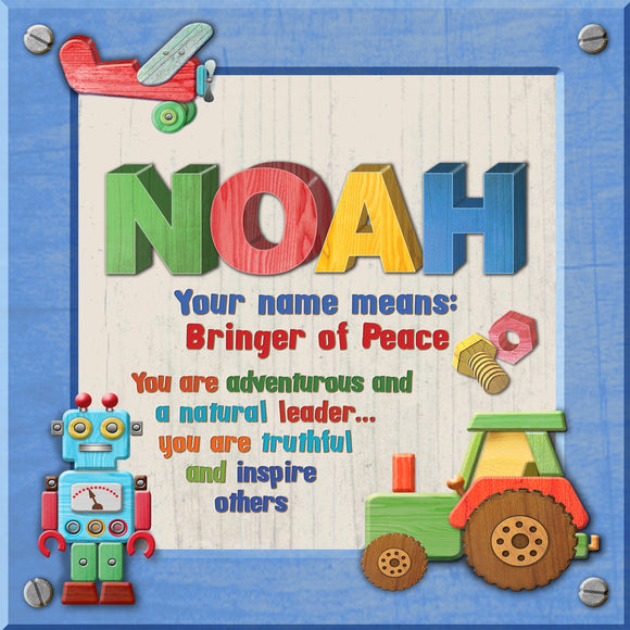 Tidybirds name meanings name definition plaque for kids  NOAH Nickery Nook