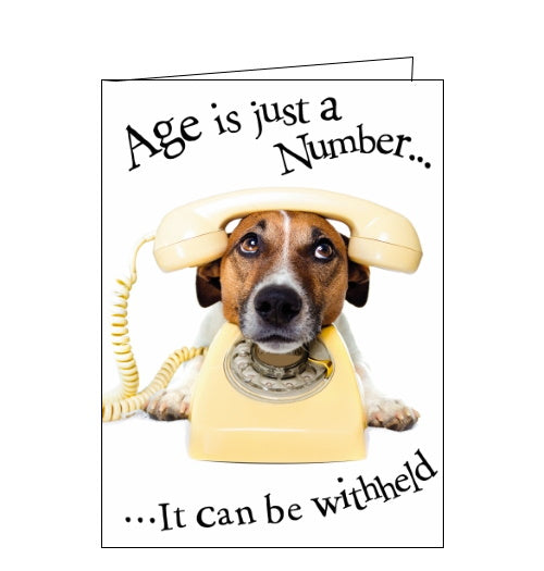 Noel Tatt age is just a number dog jack russell birthday card Nickery Nook