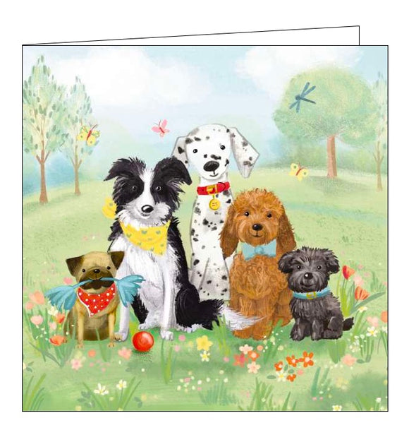 This blank greetings card features detail from an artwork by Laura Coleman showing a pack of very cute dogs, wearing coordinating collars and scarves, posing together in a sunny park. 