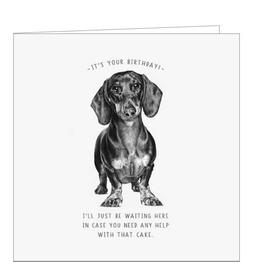 This sweet greetings card from Pigment Production's Life in Pencil card range is decorated with a black and white sketch of a cute dachshund dog. The caption on the front of the card reads 