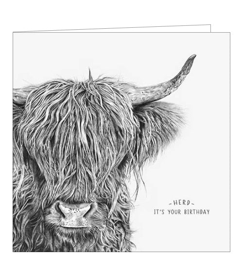 This birthday card from Pigment Production's Life in Pencil card range is decorated with a black and white sketch of a shaggy highland cow. The caption on the front of the card reads 