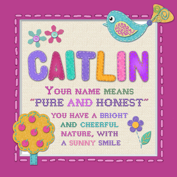 Tidybirds name meanings name definition plaque for kids CAITLIN  Nickery Nook