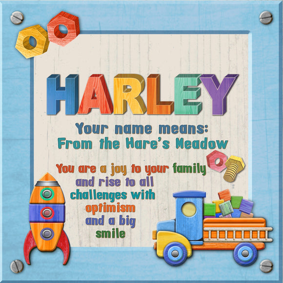 Tidybirds name meanings name definition plaque for kids HARLEY Nickery Nook