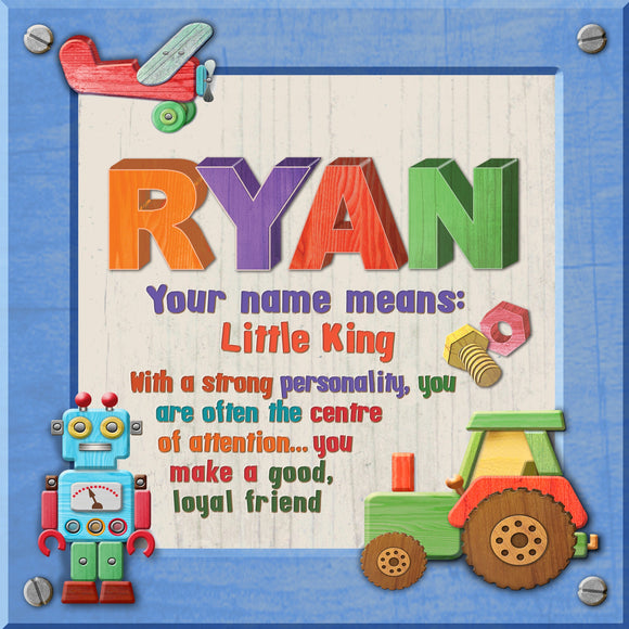 Tidybirds name meanings name definition plaque for kids RYAN  Nickery Nook 