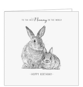 This sweet greetings card from Pigment Production's Life in Pencil card range is decorated with a black and white sketch of two rabbits, a parent and and baby bunny. It reads "to the best Mummy in the world...Hoppy Birthday"