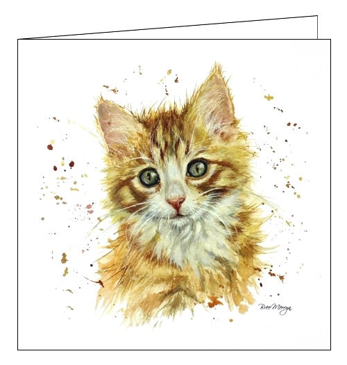 Cats - cute cat cards, cattitude, cat themed cards, cat greetings cards