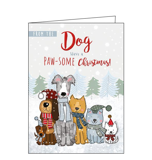Christmas cards to the Pets, Christmas cards from the Pets