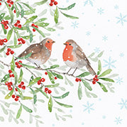 Robins in the snow - Box of 12 Christmas cards