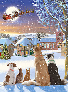 Watching - Pack of 8 Charity Christmas cards