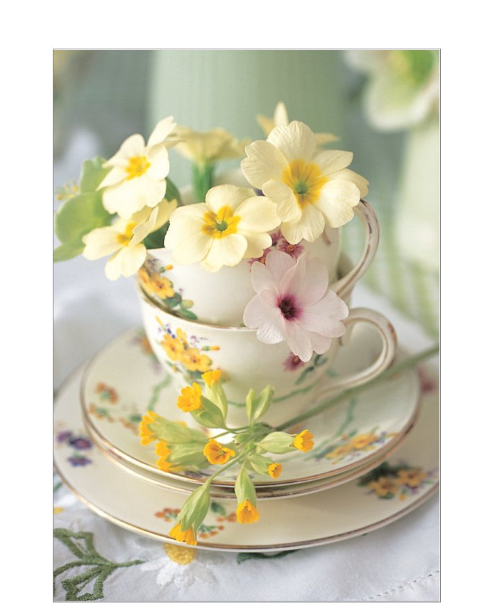Primroses in a Teacup – Floral photographic Birthday card