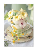 Primroses in a Teacup – Floral photographic Birthday card