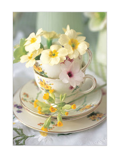 Primroses in a Teacup – Floral photographic Birthday card