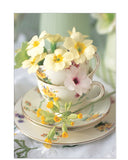 Primroses in a Teacup – Floral photographic Birthday card