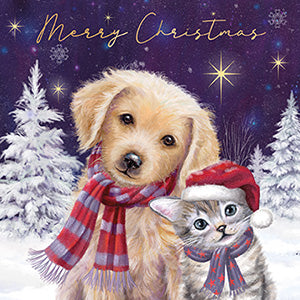 Cute dog & Kitten - Pack of 6 Charity Christmas cards