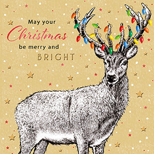 Stag with lights - Pack of 6 Charity Christmas cards