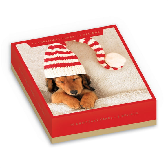 Christmas Dogs - Box of 10 Christmas cards