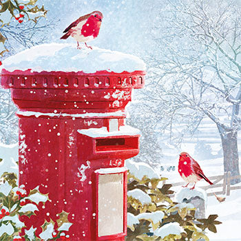 Robin & letterbox- Pack of 6 Charity Christmas cards