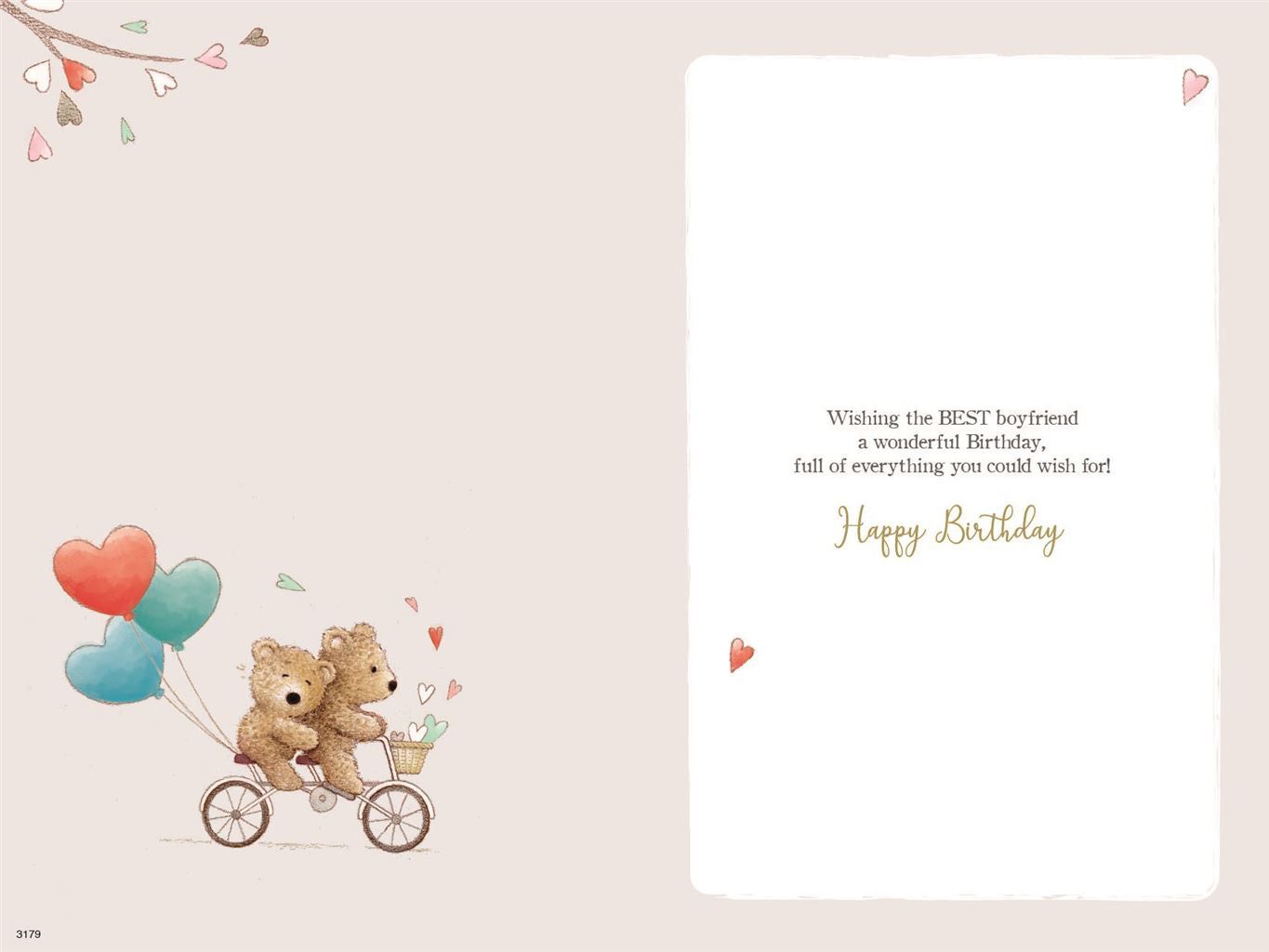 Wonderful Boyfriend on your Birthday card