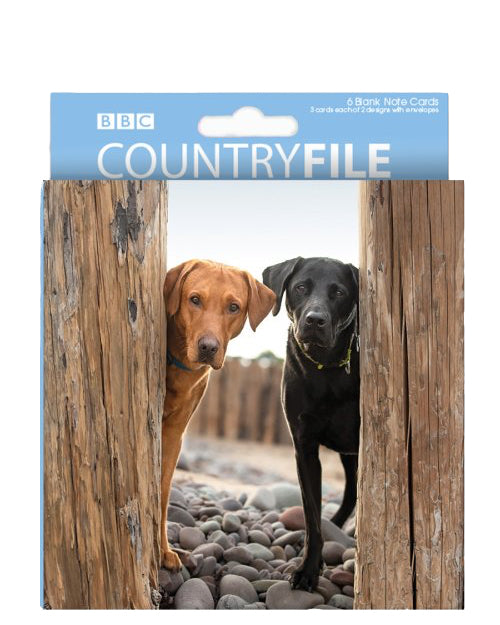 Dogs - Pack of 6 BBC Countryfile notelets