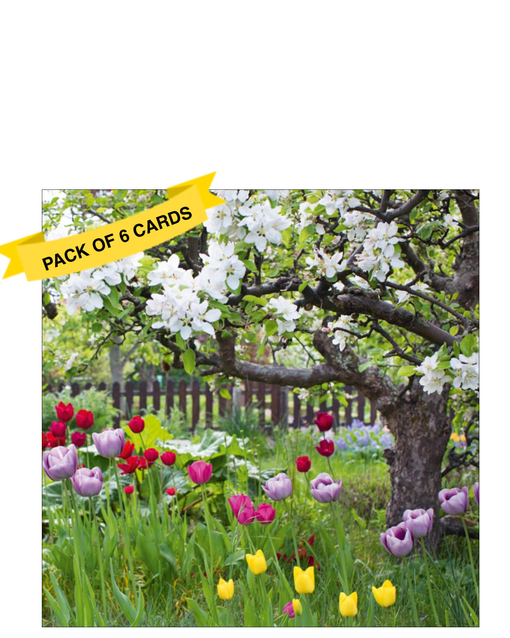 Send a thoughtful message with this elegant pack of six blank notelets from Abacus cards, featuring a stunning photographic image of vibrant tulips growing in long grass beneath an old tree in full bloom. The soft natural lighting and seasonal beauty make these cards perfect for springtime notes or any occasion that calls for a touch of floral charm.