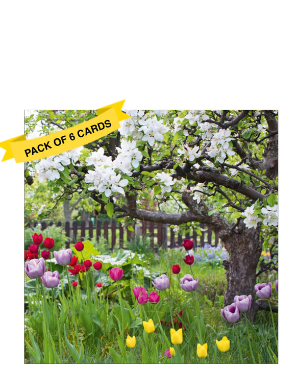 Send a thoughtful message with this elegant pack of six blank notelets from Abacus cards, featuring a stunning photographic image of vibrant tulips growing in long grass beneath an old tree in full bloom. The soft natural lighting and seasonal beauty make these cards perfect for springtime notes or any occasion that calls for a touch of floral charm.
