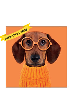 Dog in glasses - Pack of 6 notelets