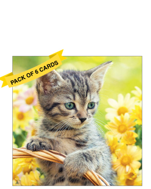 Kitten in flowers - Pack of 6 notelets