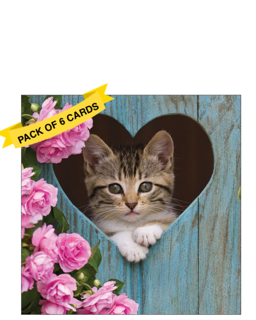 Kitten in heart - Pack of 6 notelets