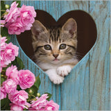 Kitten in heart - Pack of 6 notelets