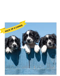 Dogs over fence - Pack of 6 notelets