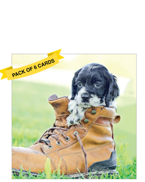 Puppy in a boot - pack of 6 notecards